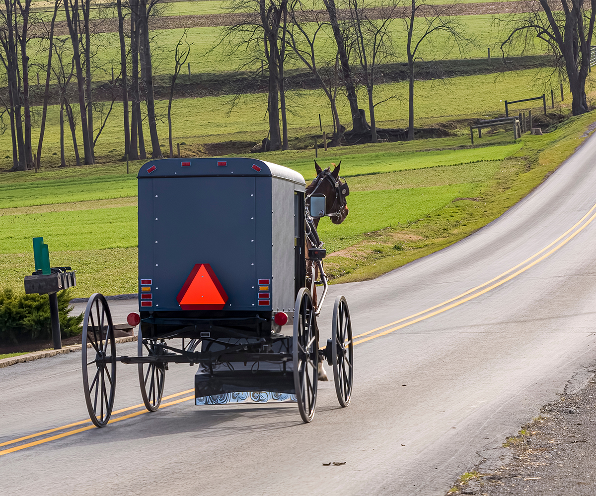 Amish horse-drawn buggy traveling down rural country road past green farm fields.